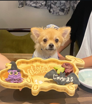 Screen Shot 2025 12 04 at 9.15.29 AM