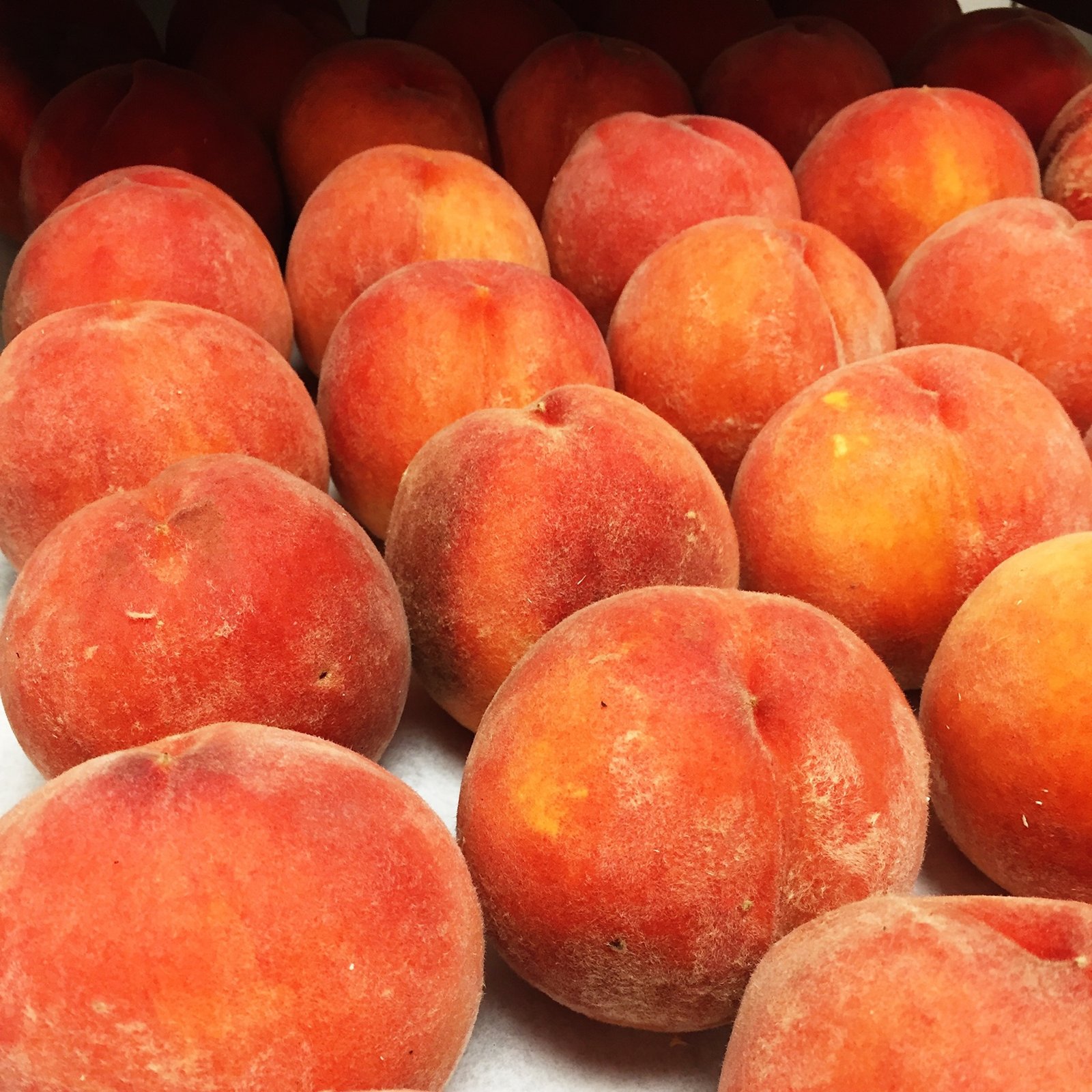 Per Se Candied Fruit