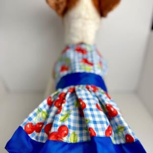 Handmade Small Dog Dress – Cotton Cherry Gingham Puppy Outfit