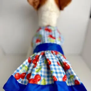 Handmade Small Dog Dress – Cotton Cherry Gingham Puppy Outfit
