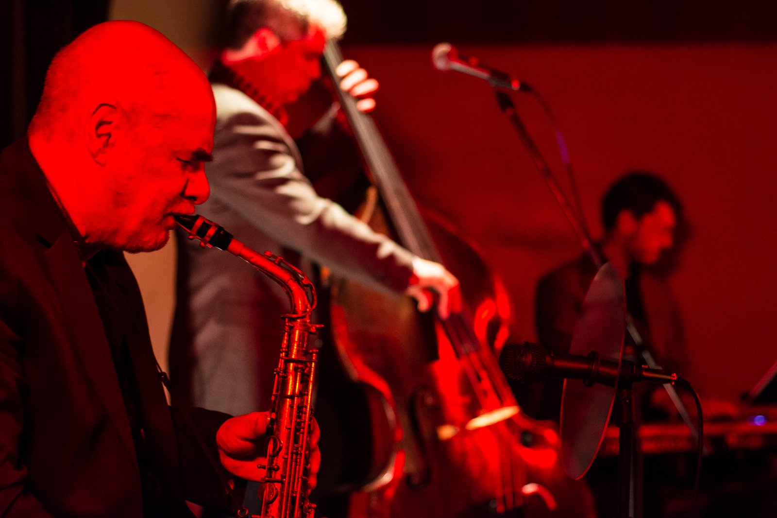 487715666 1087072803460187 369295995117448731 n